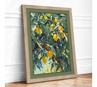 Lemon Tree with Birds Botanical Framed Wall Art Print A1 Oak