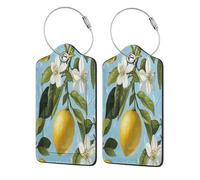 Lemon Vintage Luggage Tag for Suitcase 2 Pack Leather Luggage Tag with Privacy Flap Name Id Label and Metal Loop for Women Men Travel