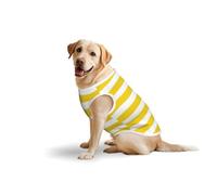 Lemon Zest Yellow Stripes Patternprint Large Pets Vest Party Travel Breathable Summer Lightweight Soft Cozy Sleeveless