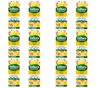 Lemon Zing Concentrated Disinfectant, Kills 99.9% Viruses & Bacteria, 500ml, Pack of 12