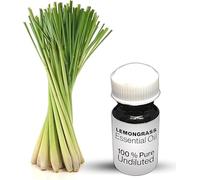 Lemongrass Essential Oil / 100% Pure Lemongrass Undiluted Essential Oil Premium Quality (500 ML, Natural)