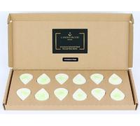 Lemongrass & Ginger Scented Wax Melts - Vegan & Eco Friendly - Gift Set of 12 Handmade Premium Quality Wax Melts