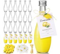 LemonRoad 24 Sets 1.7 oz Limoncello Glass Bottles, Empty Small Clear Liquor Bottles with Tags, Mini Resin Lemon Charms, Rope for Homemade Limoncello Brewing Beverages Gifts (Silver,Retro Style)