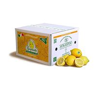 Lemons 100% Sicilian and 100% Organic - Maximum Freshness and Sustainability, Lemons Collected Directly from Our Trees - 4 Kg