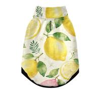 Lemons and Citrus Fruits Pattern Warm Dog Coat, Adjustable Durable Doggie Winter Jacket Reversible Cozy Puppy Cold Weather Apparel from Small to Large Breed