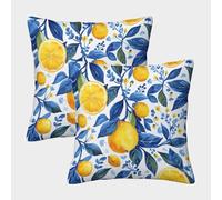 Lemons And Oranges Cushion Cover 2 Pack Soft Decorative Machine Washable Pillowcases Square Cushions with Invisible Zipper Cushion Covers for Sofa Couch Home Bedroom Throw Pillow Case 50x50cm