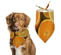 Lemons and Oranges Pet Scarf Adjustable Pet Accessories Triangular Scarf Washable Floral Print Puppy Bib Bandana Stylish Comfortable Cat Scarves for Holiday Scarfs