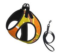 Lemons And Oranges Print Dog Harness Small Sized And Leash Set, Step In Soft Light Puppy Vest Breathable Mesh Pet Harness