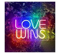 LEMST Sign Lamp Love Wings Neon Sign, USB Powered with Dimmable Switch, Wedding, Confession, Valentine's Day, Bedroom 24x36cm