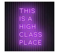 LEMST Sign Lamp This is A High Class Place Neon Sign LED Light Dimmable for Hotel Bar Restaurant Business Western Home Room Wall Art Decor 45cm(Purple)