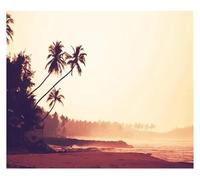 LEMST Wall Art Canvas Prints Sea View Beach Scenery Coconut Tree Image Tropical Palm Plant Wall Art Poster Canvas Painting Modern Home Bedroom Decoration(H,30x40cm)