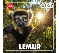 Lemur Calendar 2026: Playful primates from the forests of Madagascar