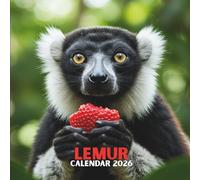 Lemur Calendar 2026: Rainforest Explorer Scenes • Holiday Dates Included • Month-at-a-Glance Format • Glossy Softcover | 8.5 × 8.5 in