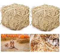 Lengba Natural Straw Bale for Cat Shelter - 8"x8"x8"Soft & Dry Straw Bedding for Cats, Feral Cats & Small Animals | Decorative Hay Bale for Outdoor Use, Farm Décor, Mulch & Pet Bedding (2)