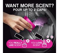 Lenor Unstoppables Floral Fresh 495g Scent Booster That Gives A Fresh