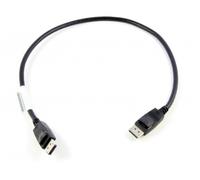 Lenovo 0.5m DisplayPort Black