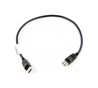 Lenovo 0B47396 DisplayPort Cable Black 0.50 m DisplayPort to Displ...