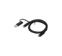 Lenovo HYBRID USB-C with USB-A, 4X90U90618, schwarz, 3 feet