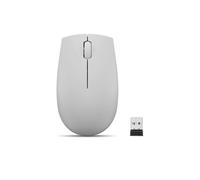 Lenovo 300 Wireless Compact Mouse (Arctic Grey) with battery