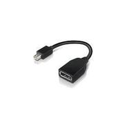 Lenovo 4X90L13971 Mini DisplayPort to DisplayPort Cable - Black, 20g