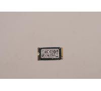 Lenovo 5SS0V26421 M.2 2242 SSD 256GB PCIe 4.0 x4 OPAL Internal Drive