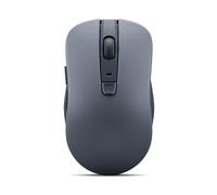 Lenovo Bluetooth Silent Mouse WL300 – 5-Button, 1600 DPI, Sculpted Grip, Grey