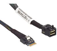 Lenovo DCG ThinkSystem SR250 6.63 cm 2.5 Inch x10 NVMe Cable