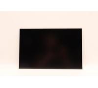 Lenovo DISPLAY BOE 14.0 WUXGA AG LCLW, FRU5D10V82399