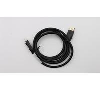 Lenovo FRU DisplayPort Cable Kit 03X6405