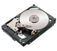 Lenovo FRU81Y9671 300Gb HDD
