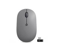 Lenovo Idg Go Essential Usb C Wireless Mouse Silver