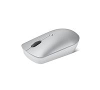 Lenovo GY51D20869 Mouse - Ambidextrous RF Wireless Optical 2400 DPI