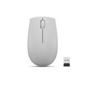 Lenovo GY51L15678 Mouse Ambidextrous, Optical, RF Wireless, Grey