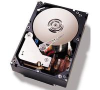 IBM 81Y9810