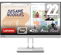Lenovo L22e 21.5" 75Hz LED Monitor - Grey