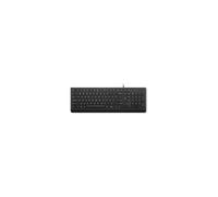 Lenovo Lenovo Essential Wired Keyboard