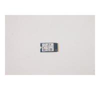Lenovo M.2 PCIe NVMe SSD 256GB capacity Gen3x4 interface 2242 form factor RoHS compliant designed for Lenovo systems.