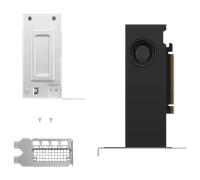 Lenovo NVIDIA RTX 2000 Ada 16 GB mini-DP*4 GDDR6 Graphics Card - 4X61P69962