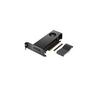 Lenovo Nvidia RTX A2000 12 GB GDDR6