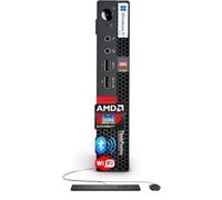 Lenovo ThinkCentre Mini Business Desktop, 16GB RAM, 256GB SSD, AMD Dual-Core Processor, Dual-Display Support, Wi-Fi, Bluetooth, USB, RJ-45, Keyboard&Mouse Included, Windows 11 Pro, Just 1 Liter Volume