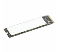 Lenovo ThinkPad 512GB Performance SSD