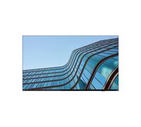 Lenovo ThinkVision E55 LFD computer monitor 138.7 cm (54.6") 3840 x 2160 pixels 4K Ultra HD IPS Black