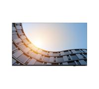 Lenovo ThinkVision E65 LFD computer monitor 163.8 cm (64.5") 3840 x 2160 pixels 4K Ultra HD LCD Black