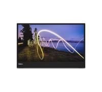 Lenovo ThinkVision M15 LED display 39.6 cm (15.6") 1920 x 1080 pixels Full HD Black