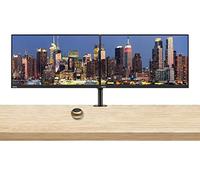 Lenovo ThinkVision S24e-20 23.8" Full HD 1920 x 1080 WLED LCD Monitor 2-Pack Bundle with Mini Speaker, 250 Nit, FreeSync, HDMI-VGA, Raven Black, & Adjustable Desk Mount Monitor Stand