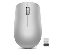 Lenovo Wireless Mouse 530 2.4 GHz Wireless via Nano USB Optical Mouse 1 year(s)