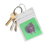 Lenticular Card Fidget Toy - 3D Lenticular Card, Lenticular 3D Kitten Key Card Pendant Decoration | Portable Funny Abstract Art Relaxing Relaxation Gadget