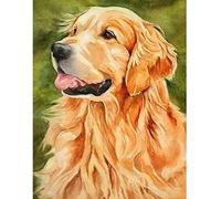 Lentrs Adults Stamped Cross Stitch Embroidery Kit Golden Retriever Counted Cross-Stitch Patterns Full Range of Needlework Starter Kits Home Decor-12x16 inches