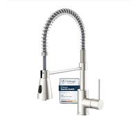 Lenz Kalani² 46070322 Kitchen Tap with Dish Rinser Matte Nickel