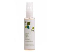 Lenz Naturpflege Men's Deodorant Spray Hops Pine 75 ml